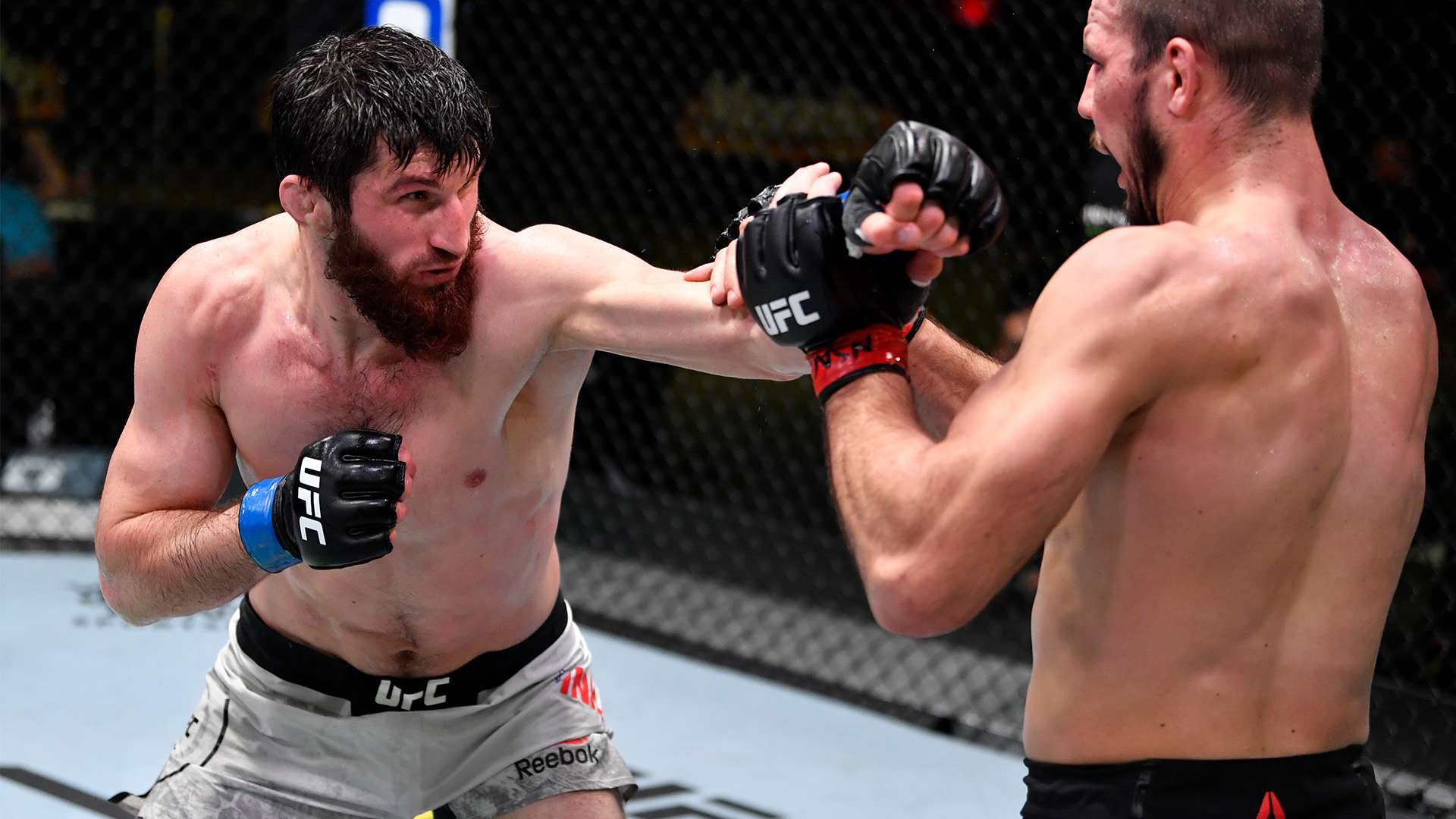 在本赛季剩 在本赛季剩