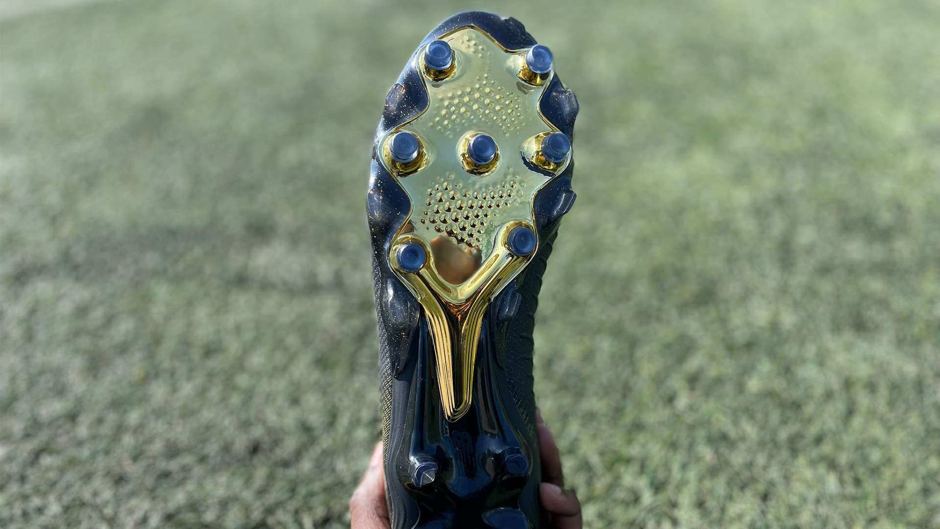 客提供了 客提供了